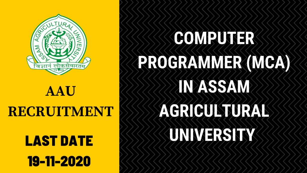 AAU Recruitment – Computer Programmer (MCA) In Assam Agricultural University