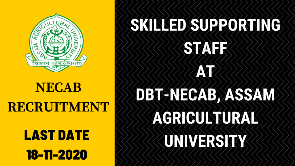 NECAB Recruitment for the post of Skilled Supporting Staff