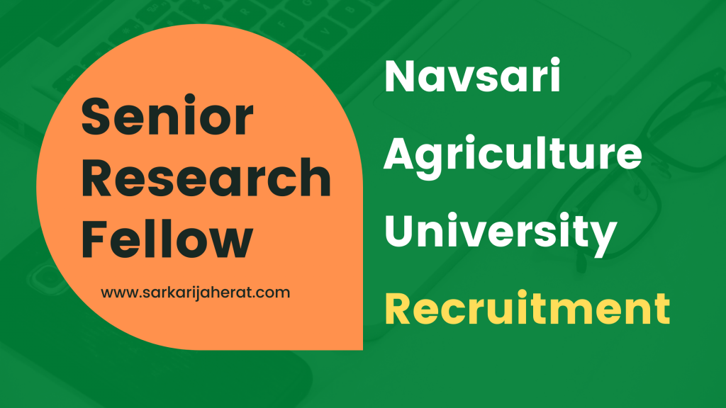 NAU Job Recruitment for Senior Research Fellow