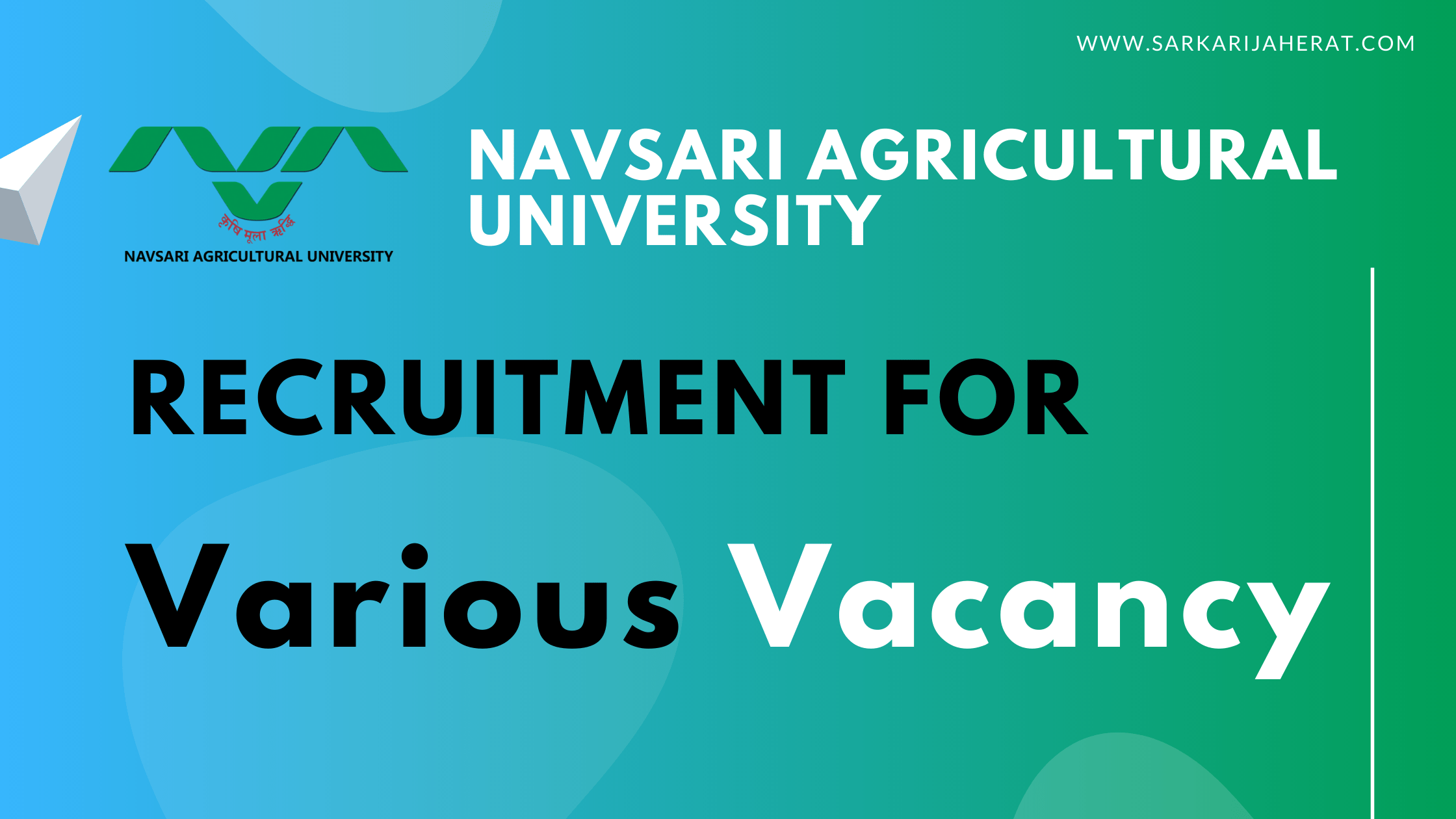 NAU Recruitment for Various Vacancy 2020.