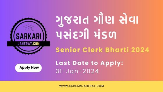 GSSSB Senior Clerk Bharti 2024